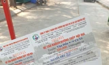 Cô Tô lo 'mất mùa' du lịch vì vé tàu cao tốc liên tục tăng