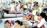 Vì sao Hà Nội bùng phát dịch sốt xuất huyết?