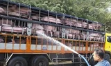 Lợn dội biên, Bộ Công Thương mới phát cảnh báo