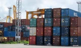 Bán đấu giá 82 container hàng vô chủ ở cảng Cát Lái