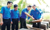 Nhiều mô hình sản xuất cho doanh thu tiền tỷ