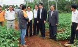 Bộ trưởng NN&PTNT Cao Đức Phát (thứ 3 từ phải sang) thăm mô hình trồng khoai tây theo hình thức hợp tác công-tư tại Đắk Lắk của Công ty Pepsico.