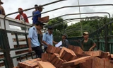 Lực lượng Hải quan kiểm tra mặt hàng gỗ nhập khẩu tại cửa khẩu đường bộ. Ảnh: Tuấn Nguyễn.