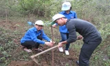 Các bạn trẻ trồng rừng tại Bắc Kạn.