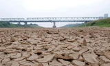 Khô hạn, thiếu nước kéo dài