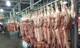 Chặn thịt heo không rõ nguồn gốc