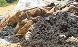 Sở TN&MT Hà Tĩnh cấp “bảo bối” cho Formosa?