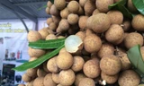Nhãn lồng Hưng Yên là một trong 50 loại quả đặc sản của Việt Nam. Ảnh minh họa