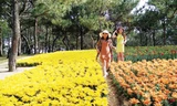 Tham quan vườn hoa của Cty CNSH Rừng hoa Đà lạt.