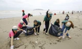 Thí sinh Hoa hậu và cán bộ, nhân viên khách sạn Mường Thanh tham gia dọn rác bãi biển Cửa Lò sau bão Sơn Tinh. Ảnh: Như Ý.