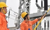 Sẽ giảm quyền tự tăng giá điện của EVN