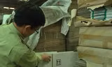 Đoàn kiểm tra Ban 389 QG kiểm tra tại kho của Cty Thuận Phong hồi tháng 4/2015. Ảnh: Ban 389 QG cung cấp