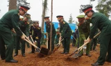 Lãnh đạo Ban Thanh niên Quân đội, Đoàn Thanh niên Bộ Công an và các đại biểu thanh niên tiêu biểu trong Quân đội và Công an năm 2015 trồng cây nhớ ơn Bác Hồ tại Khu di tích K9 - Đá Chông (Ba Vì, Hà Nội), chiều 22/3. Ảnh: Nguyễn Minh.