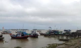 Luồng lạch ra vào bị "khóa" khiến hàng loạt tàu thuyền phải nằm bờ.