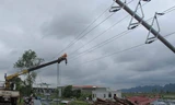 Hàng nghìn cột điện bị gãy trên địa bàn tỉnh Ninh Bình. Ảnh: Đức Hoàng.