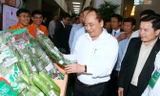 Thủ tướng Nguyễn Xuân Phúc thăm gian hàng trưng bày tại hội nghị Xây dựng nền công nghiệp, nông nghiệp Việt Nam. Ảnh: TTXVN.