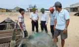 Tấm lưới cũ thành “mới” sau khi thả xuống đáy biển của ngư dân Quảng Bình.