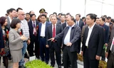 Thủ tướng Nguyễn Xuân Phúc và đại diện các đơn vị tham quan mô hình sản xuất nông nghiệp công nghệ cao tại huyện Lý Nhân, tỉnh Hà Nam.