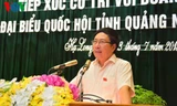 Phó Thủ tướng Phạm Bình Minh. Ảnh: VOV