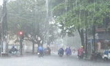 Bão Nock-ten vào biển Đông, miền Trung đón mưa lũ lớn