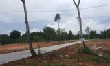 Một dự án phân lô bán nền trên đất nông nghiệp tại xã Cửa Cạn, Phú Quốc (Kiên Giang). Ảnh: P.V.