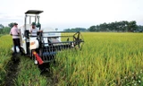 Cơ giới hóa sản xuất nông nghiệp ở tỉnh Vĩnh Phúc. Ảnh: Nhật Minh.