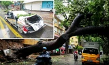 Cây xà cừ bật gốc chắn ngang đường Trần Thánh Tông, Hà Nội (ảnh lớn); Xe bẹp do cây đổ trước cửa sổ 48 Hai Bà Trưng, Hà Nội sáng 28/7. Ảnh: Bảo Khanh - Như Ý.