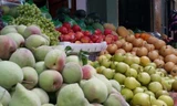 Cảnh báo việc Trung Quốc truy xuất nguồn gốc hoa quả xuất khẩu