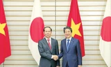 Chủ tịch nước Trần Đại Quang và Thủ tướng Shinzo Abe trong cuộc gặp ngày 31/5 tại Tokyo. Ảnh: TTXVN.