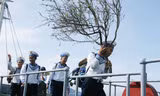 Đào được đưa lên tàu để vận chuyển ra với quân và dân Trường Sa đón Tết. Ảnh: L.H.V.