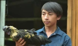 Kỹ sư chăn nuôi 9x người Mông Vàng A Công.