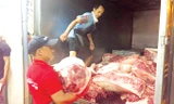 Ngày đầu cấm cửa heo không nguồn gốc: Vỡ trận