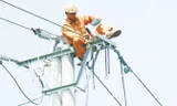 Theo các chuyên gia, EVN sẽ phải tiếp tục tăng năng suất, giảm tổn thất điện năng trước khi đề xuất tăng giá điện. Ảnh: Như Ý.