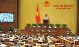 Quốc hội bàn về tái cơ cấu nền kinh tế