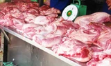 Phát hiện thịt lợn có chất cấm tại Hà Nội