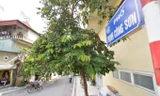 Phố Trịnh Công Sơn.