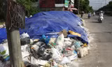 Rác tra tấn người Sơn Tây