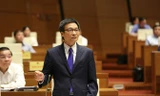 Phó thủ tướng Vũ Đức Đam.