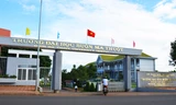 Trường Đại học Buôn Ma Thuột mới mở đã chiêu sinh rất nhiều ngành, trong đó có bác sĩ đa khoa.