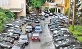 Số lượng xe công vẫn tăng mạnh và chi phí rất lớn (ảnh minh họa). Ảnh: Hồng Vĩnh.