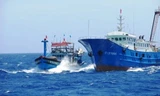 Tàu cá Bình Định bị tấn công ở Trường Sa