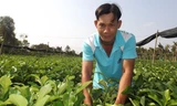 Anh Thật bên vườn cây giống của mình. Ảnh: Hòa Hội.