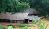 13 người chết, mất tích do mưa lũ