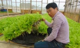 Anh Nguyễn Văn Tuấn bên sản phẩm rau thủy canh. Ảnh: N.T.