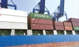 Container ùn ứ tại Cảng Cát Lái vì hàng phế liệu tồn đọng quá nhiều. Ảnh: T.N.