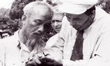 Hồ Chủ tịch đang chuẩn bị ghép cành vào cây Hữu nghị, dưới sự hướng dẫn của nhà nông học Xô viết Zorin, tháng 7/1959.