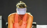 “Vận xui” đeo bám Sharapova