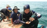 Phóng viên Tiền Phong (giữa) cùng các thợ lặn khảo sát môi trường đáy biển Quảng Bình. Ảnh: PV.