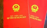 Bí thư quận, huyện phải chịu trách nhiệm nếu cấp sổ đỏ chậm