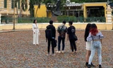 Hoa dầu “thẹn thùng” xoay tít trong gió làm bao ánh mắt ngẩn ngơ ngắm nhìn